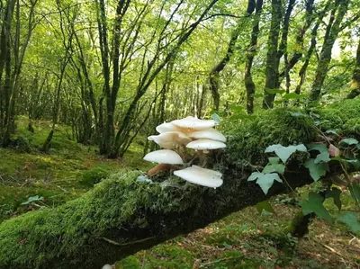 Paysage naturel près de la maison de vacances