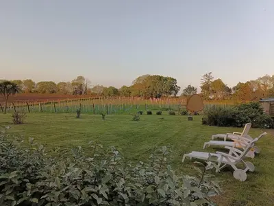 Jardin de l'établissement La Clef des Champs, gîte à la ferme au pied des vignes, Finistère sud !
