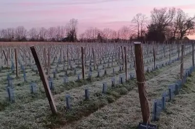 Plan de l'établissement Sous le Grand Chêne, gîte à la ferme, Finistère