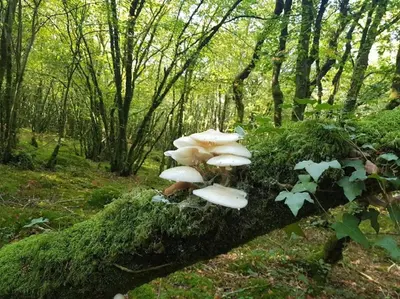 Paysage naturel près de la maison de vacances