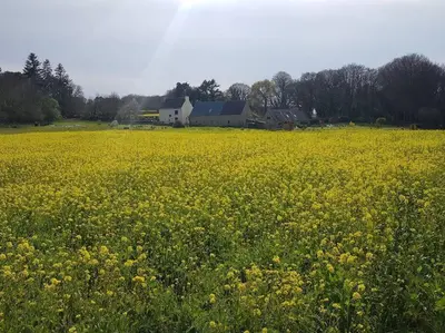 Paysage naturel près de la maison de vacances