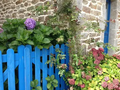 Jardin de l'établissement Le charme d'une chaumière typiquement bretonne