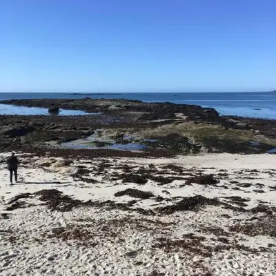 Le Récif