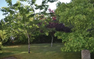 Jardin de l'établissement Nice Home In Pleuven With Wifi