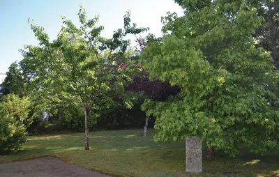 Jardin de l'établissement Nice Home In Pleuven With Wifi