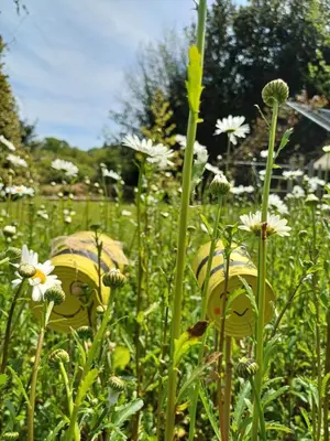 Jardin de l'établissement O'TY'ZOISEAUX - Plus proche de la nature - Meublé tourisme classé 4 étoiles