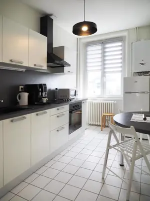 Cuisine ou kitchenette dans l'établissement Appartement au cœur de Brest