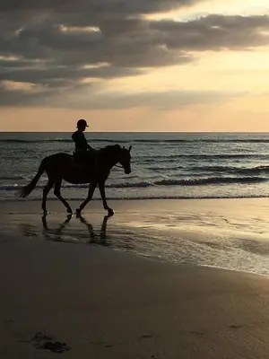 Équitation au sein de la maison de vacances ou à proximité
