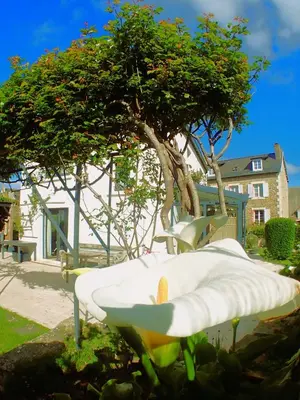 Jardin de l'établissement Villa aux roses