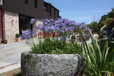 Jardin de l'établissement Les Chambres d'hôtes de Kérasquer