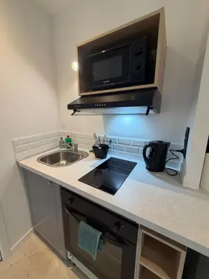 Cuisine ou kitchenette dans l'établissement Brest Centre Studio
