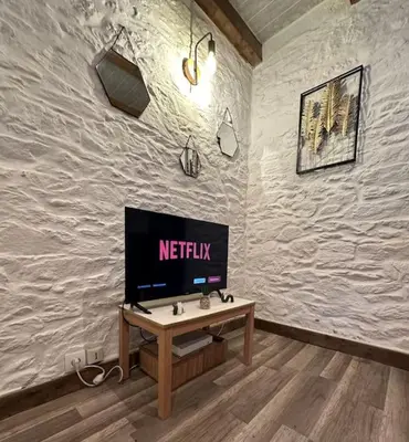 Télévision ou salle de divertissement dans l'établissement Maison de charme - Cœur de Brest