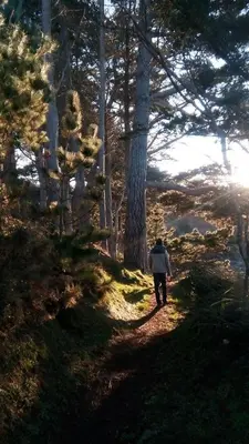 Paysage naturel près de le camping