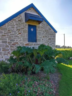 Jardin de l'établissement Gîte Ar Friz Vihan