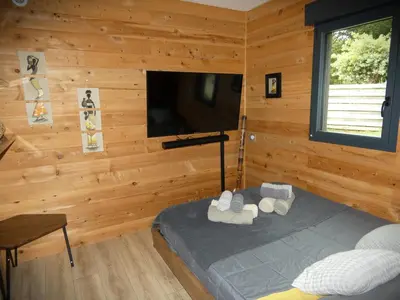 Télévision ou salle de divertissement dans l'établissement Chalet moderne, Jacuzzi & Cinéma
