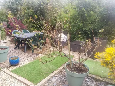 Jardin de l'établissement Location gîte Plestin les grèves
