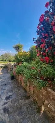 Jardin de l'établissement Havre de paix à 15 min de la mer