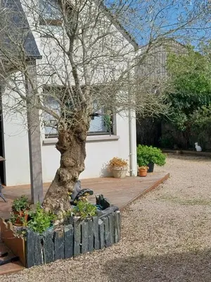 Jardin de l'établissement Un ptit coin de paradis chez JF et Daisy à Plouescat