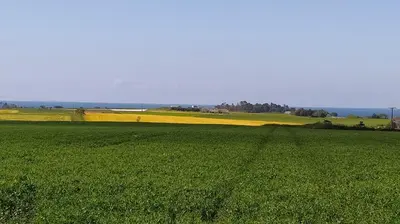 Paysage naturel près de le camping