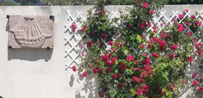 Jardin de l'établissement Kleines Ferienhaus am Meer