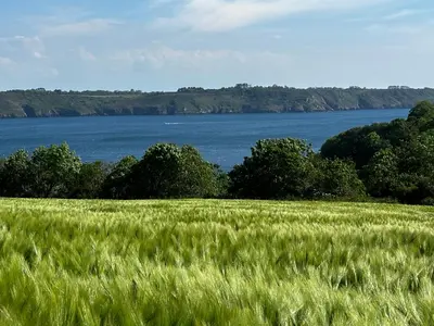 Paysage naturel près de l'appartement