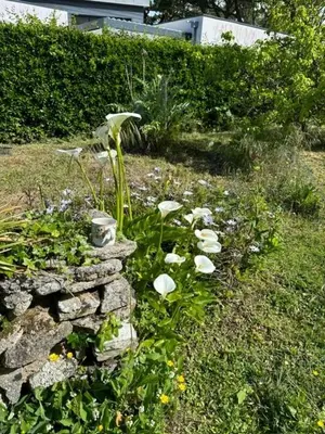 Jardin de l'établissement Maison vintage en bord de mer
