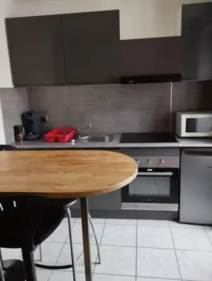 Cuisine ou kitchenette dans l'établissement Appartement Brest Saint Martin