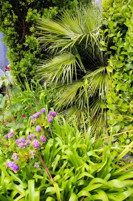 Jardin de l'établissement La Maison du Port, vue mer, jardin et parking