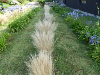 Jardin de l'établissement Gîte près de l'Aber Benoît