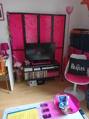 Coin salon dans l'établissement Grande chambre chez l'habitant dans hypercentre piéton