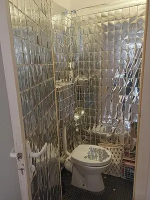 Salle de bains dans l'établissement Grande chambre chez l'habitant dans hypercentre piéton