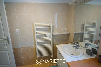 Salle de bains dans l'établissement -DALIA- Appartement centre-ville-terasse-parking