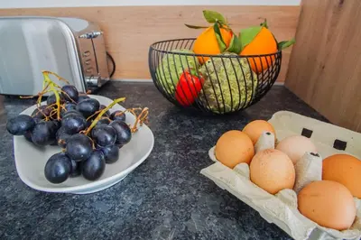 Nourriture dans l'appartement ou à proximité