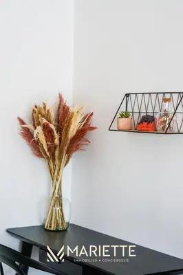 Plan de l'établissement -IRIS- Magnifique T2 renove avec balcon et parking