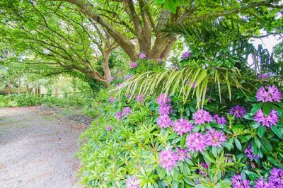 Jardin de l'établissement -PETREL- Maison de campagne avec grand jardin