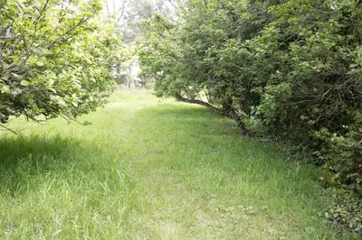 Jardin de l'établissement La Bigoudène