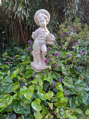 Jardin de l'établissement les hortensias
