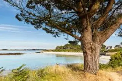 Paysage naturel près de la maison de vacances