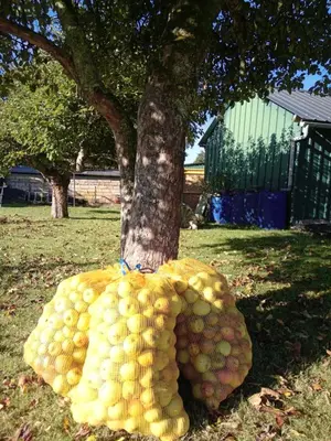 Jardin de l'établissement Maison Pays Fouesnantais