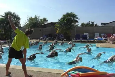 Piscine de l'établissement ZEcamping 4 animaux acceptés et piscine couverte ou située à proximité