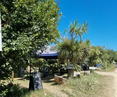 Jardin de l'établissement Camping le Kergorz