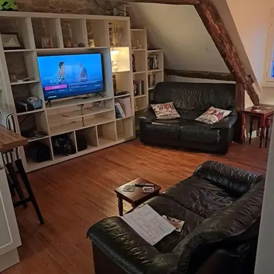Télévision ou salle de divertissement dans l'établissement Centre Ville Loft