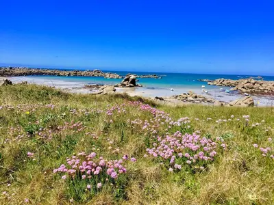 Paysage naturel près de la maison de vacances