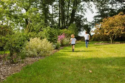 Jardin de l'établissement Maison de campagne en centre Finistère