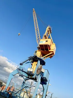 Plan de l'établissement Le Panoramique vue sur la rade pour ce beau T3