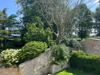 Jardin de l'établissement Écrin de la baie Chambre Raphaël