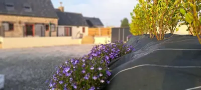 Jardin de l'établissement Nouveau Maison campagne Plouescat - TyPra