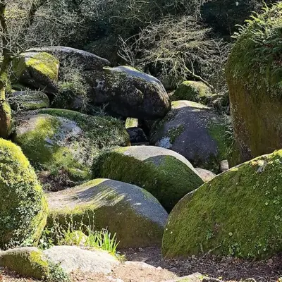 Jardin de l'établissement Grande maison au coeur de la Bretagne