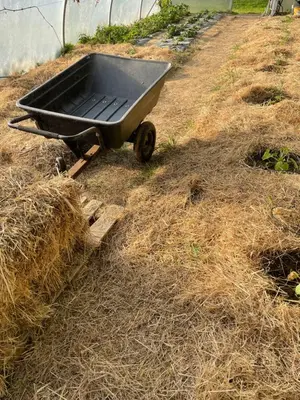 Jardin de l'établissement Le gîte du petit Plessix