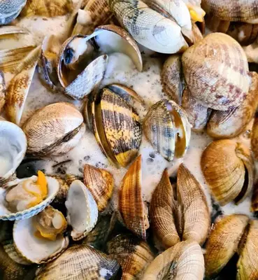Nourriture dans la maison de vacances ou à proximité